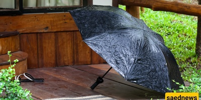How to Properly Store a Wet Umbrella After Coming Home