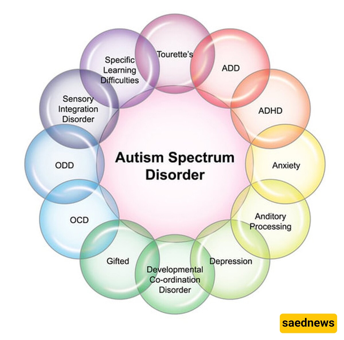 Is my child Autistic? Take This Simple Test to know now