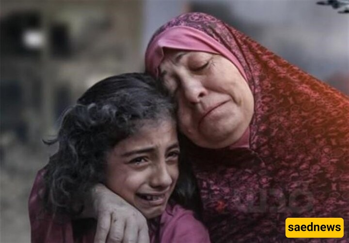 Israeli Strikes on Gaza Kill More Than 60 in Past Day