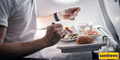 A Guide to Airline Meals: What Are They Like?