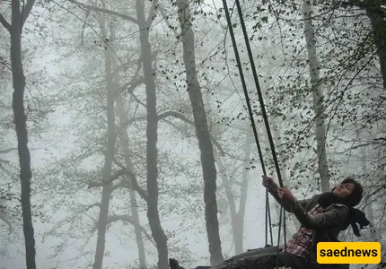 dalekhani forest