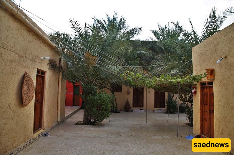 I Stayed In Qeshm’s Oldest Mud Houses — Here’s What the Locals Won’t Stop Smiling About