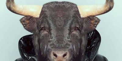 The Difference Between a Fool and an Ignorant Person – Truly Worth Reading