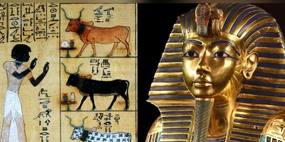 6 Insane Facts About Ancient Egyptians From Pregnancy tests to Mummification of Crocodiles!