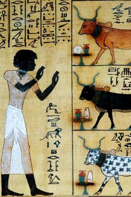 6 Insane Facts About Ancient Egyptians From Pregnancy tests to Mummification of Crocodiles!