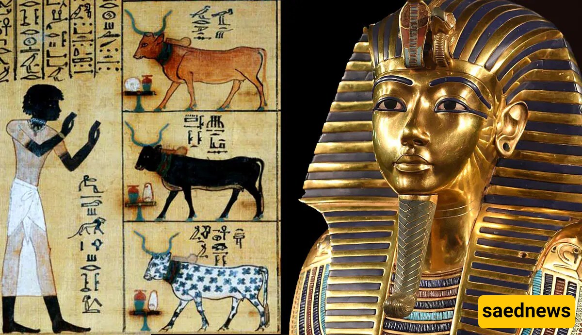 6 Insane Facts About Ancient Egyptians From Pregnancy tests to Mummification of Crocodiles!