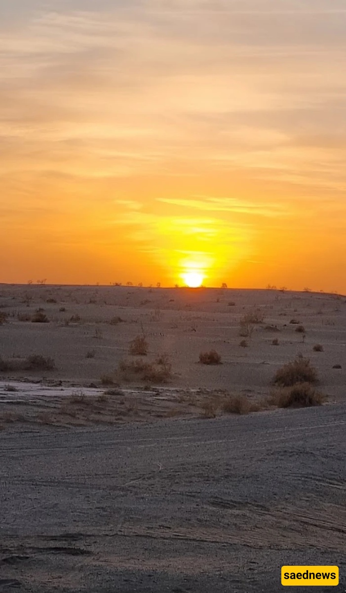 Tabas Desert