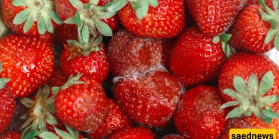 Common Mistakes That Make Fresh Fruit Spoil Too Quickly