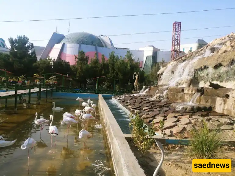 Mashhad Bird Garden