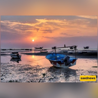 No Ferry Needed — How a Road to Sheef Island Lets You Walk Straight From Bushehr to the Sand!