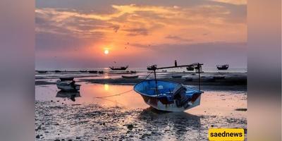 No Ferry Needed — How a Road to Sheef Island Lets You Walk Straight From Bushehr to the Sand!