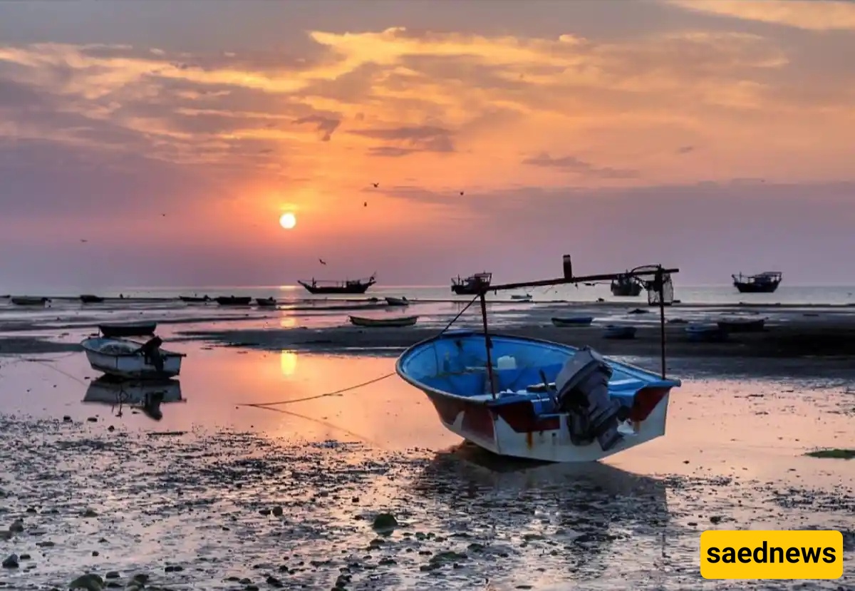 No Ferry Needed — How a Road to Sheef Island Lets You Walk Straight From Bushehr to the Sand!