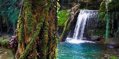 Tang-e Bostanak: The Lost Heaven of Shiraz The Best Place To Enjoy Nice Weather!