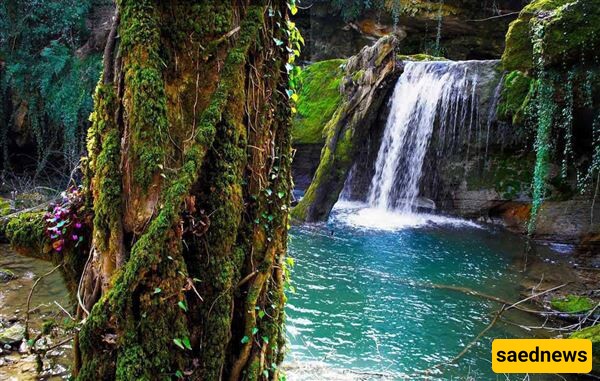 Tang-e Bostanak: The Lost Heaven of Shiraz The Best Place To Enjoy Nice Weather!