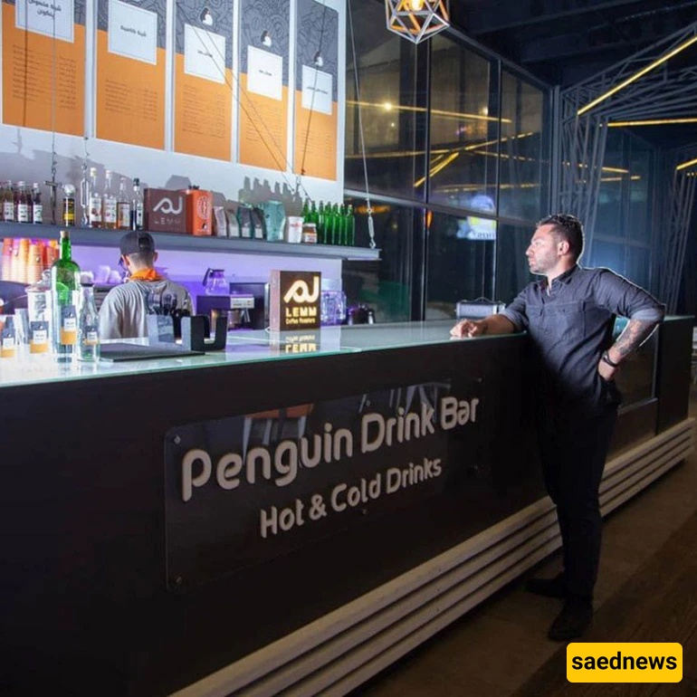Penguin Snow Park, kish