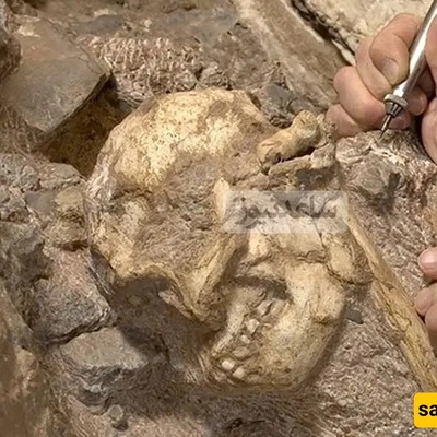 A 3-Million-Year-Old Human Relative Emerges from Stone