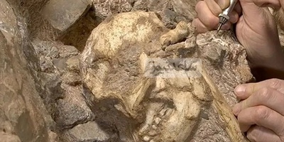 A 3-Million-Year-Old Human Relative Emerges from Stone