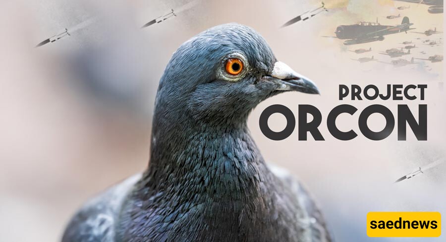 [VIDEO] Project Orcon: The Dark History of The Pigeon-Guided Missiles of WWII