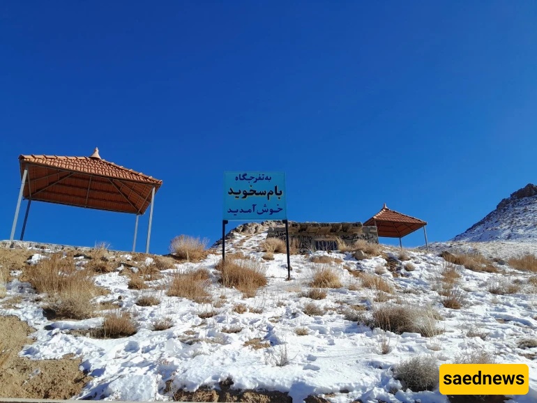 Shirkooh