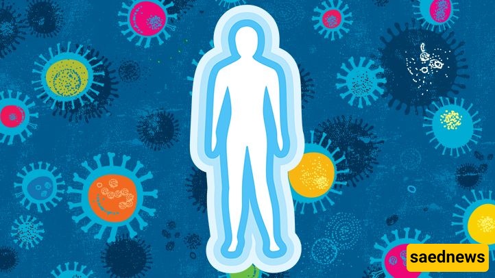 Supporting the Immune System