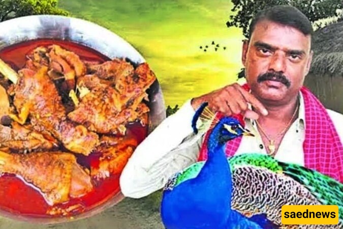 Indian YouTuber Arrested for Making Peacock Curry For Views!