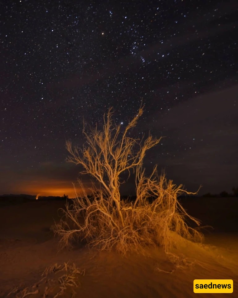 Tabas Desert