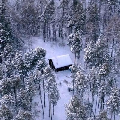 20 Years in the Coldest Forest on Earth, Where Breath Freezes: The Life of a Man No One Believes