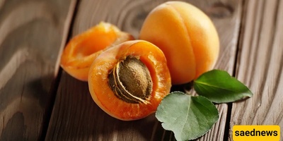 Apricot Calories: How Many Calories Are in 100 Grams of Apricots?