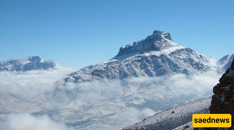 Shirkooh