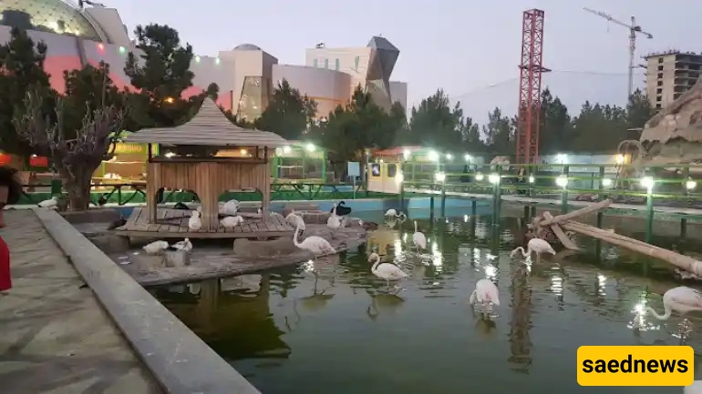  Mashhad Bird Garden
