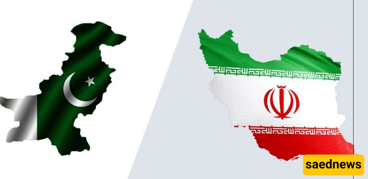 Pakistan’s Interior Minister Arrives In Iran For Arbaeen Pilgrimage Talks