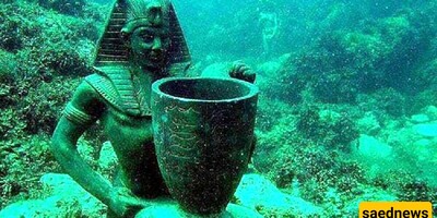 Discovery of a 350-Year-Old Huge Marine Treasure from the Depths of the Sea/ One is Amazed by Seeing It + Photo