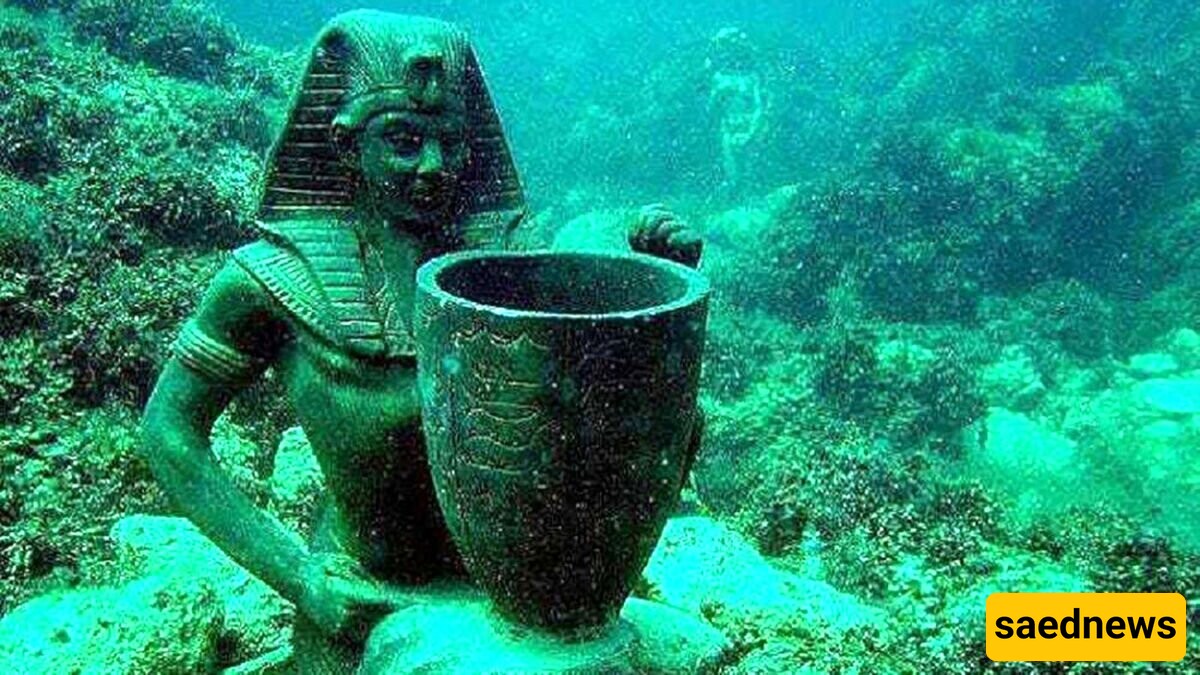 Discovery of a 350-Year-Old Huge Marine Treasure from the Depths of the Sea/ One is Amazed by Seeing It + Photo