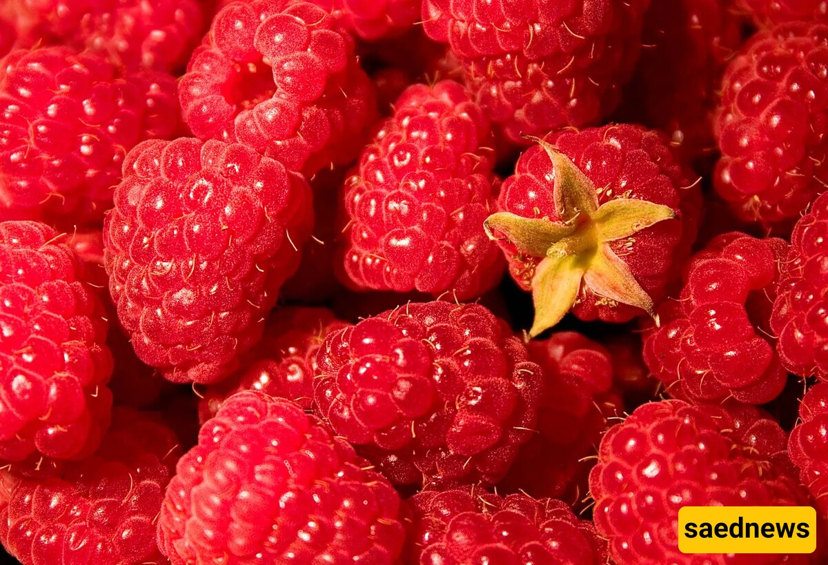 Raspberries