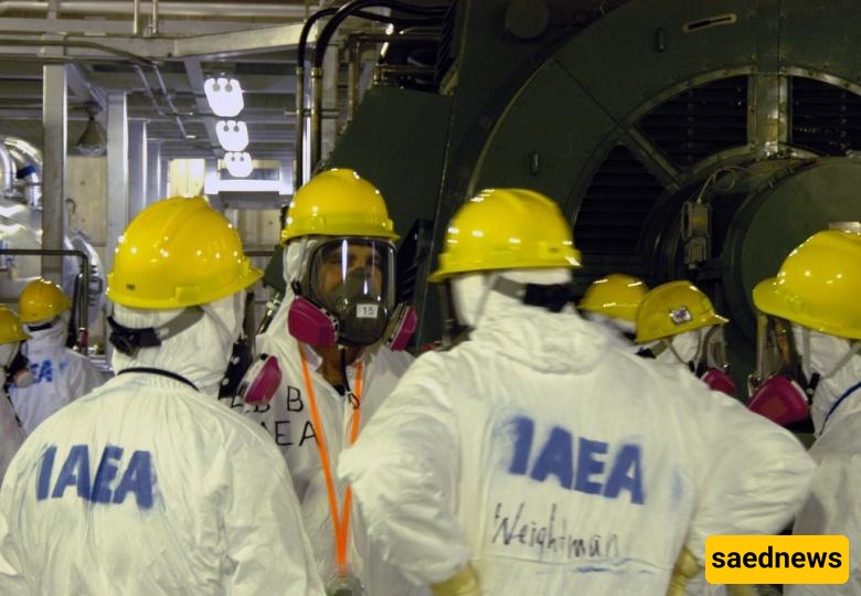 IAEA inspectors 