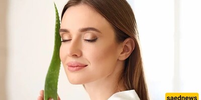 The Best Aloe Vera Skin Care Hacks for Luminous Skin