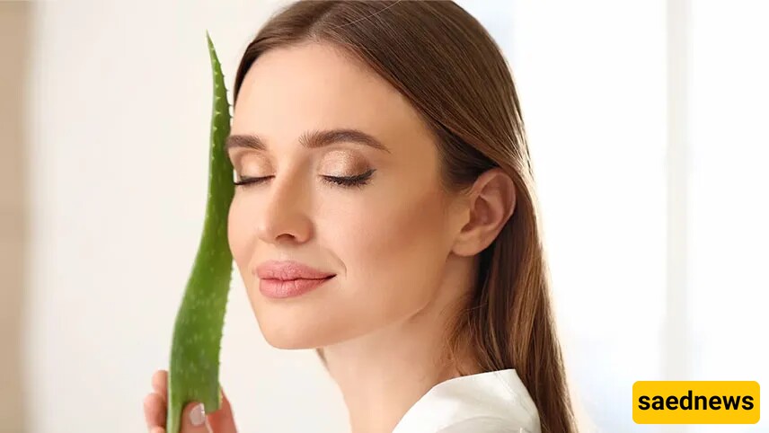 The Best Aloe Vera Skin Care Hacks for Luminous Skin