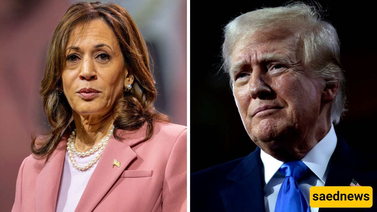 Poll Shows Kamala Harris Leading Trump by One Percentage Point