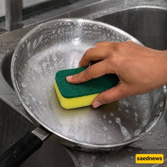 sponge