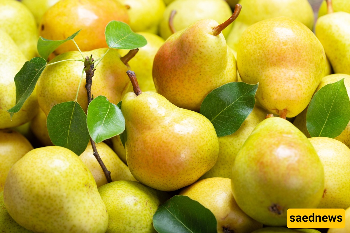 pears