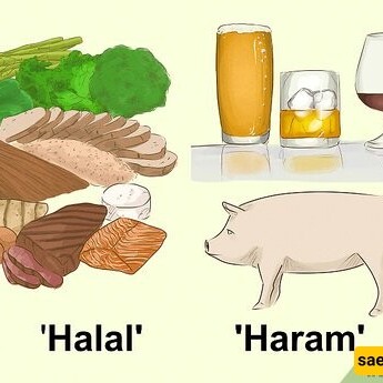 Do You Know Which Foods are Prohibited in Islam?