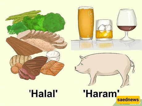 Do You Know Which Foods are Prohibited in Islam?