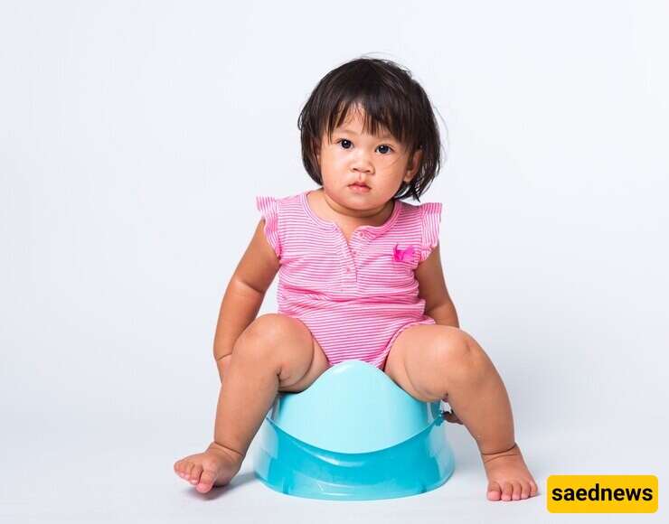 How to Potty Train Your Child: 7 Effective Methods for Transitioning from Diapers