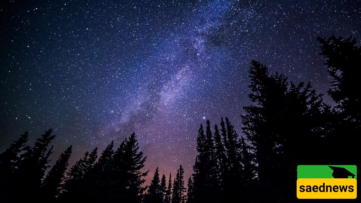NASA Image of the Day: Christmas Tree Star Cluster Meets the Fox Fur Nebula
