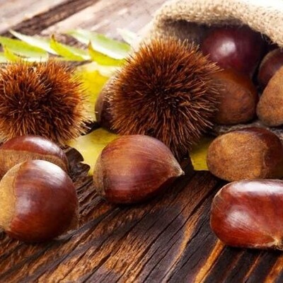 Benefits of Horse Chestnut for Weight Loss and Body Health