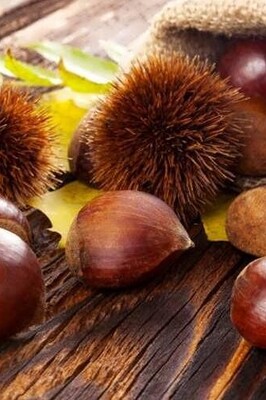 Benefits of Horse Chestnut for Weight Loss and Body Health