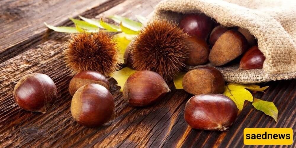 Benefits of Horse Chestnut for Weight Loss and Body Health