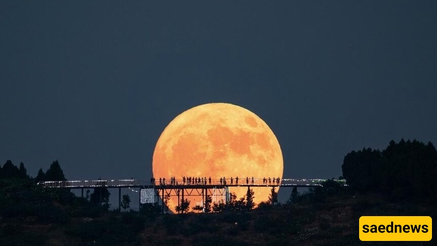 The Largest and Most Spectacular Blue Moon Will illuminate the Sky Wednesday Night.