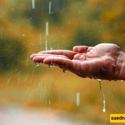 The Benefits of Rain for Humans: Miracles We Often Overlook