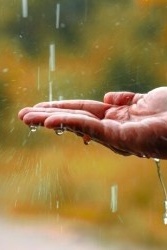 The Benefits of Rain for Humans: Miracles We Often Overlook